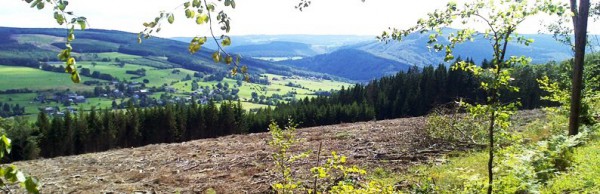 Ardennen, Blick über das Tal der Amblève