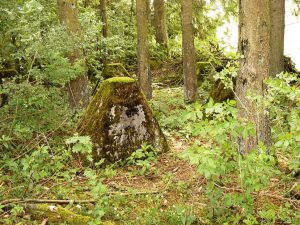 Betonblöcke der Panzersperren sind von Moos bedeckt, dazwischen wachsen Bäume und Sträucher